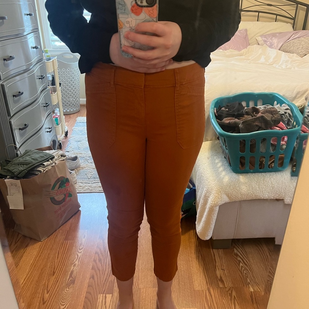 burnt orange pixi pants